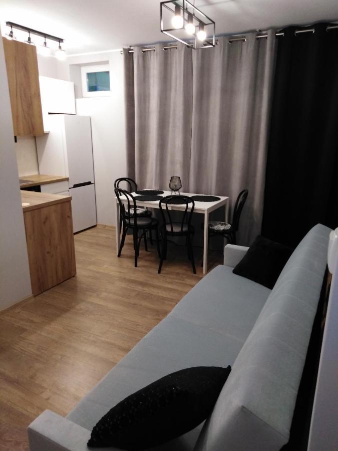 סאנוק Apartament Joanna מראה חיצוני תמונה