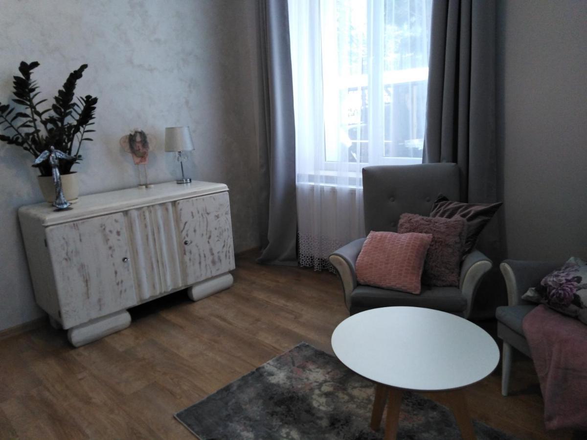 סאנוק Apartament Joanna מראה חיצוני תמונה