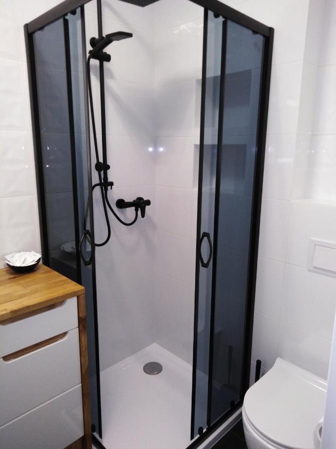 סאנוק Apartament Joanna מראה חיצוני תמונה
